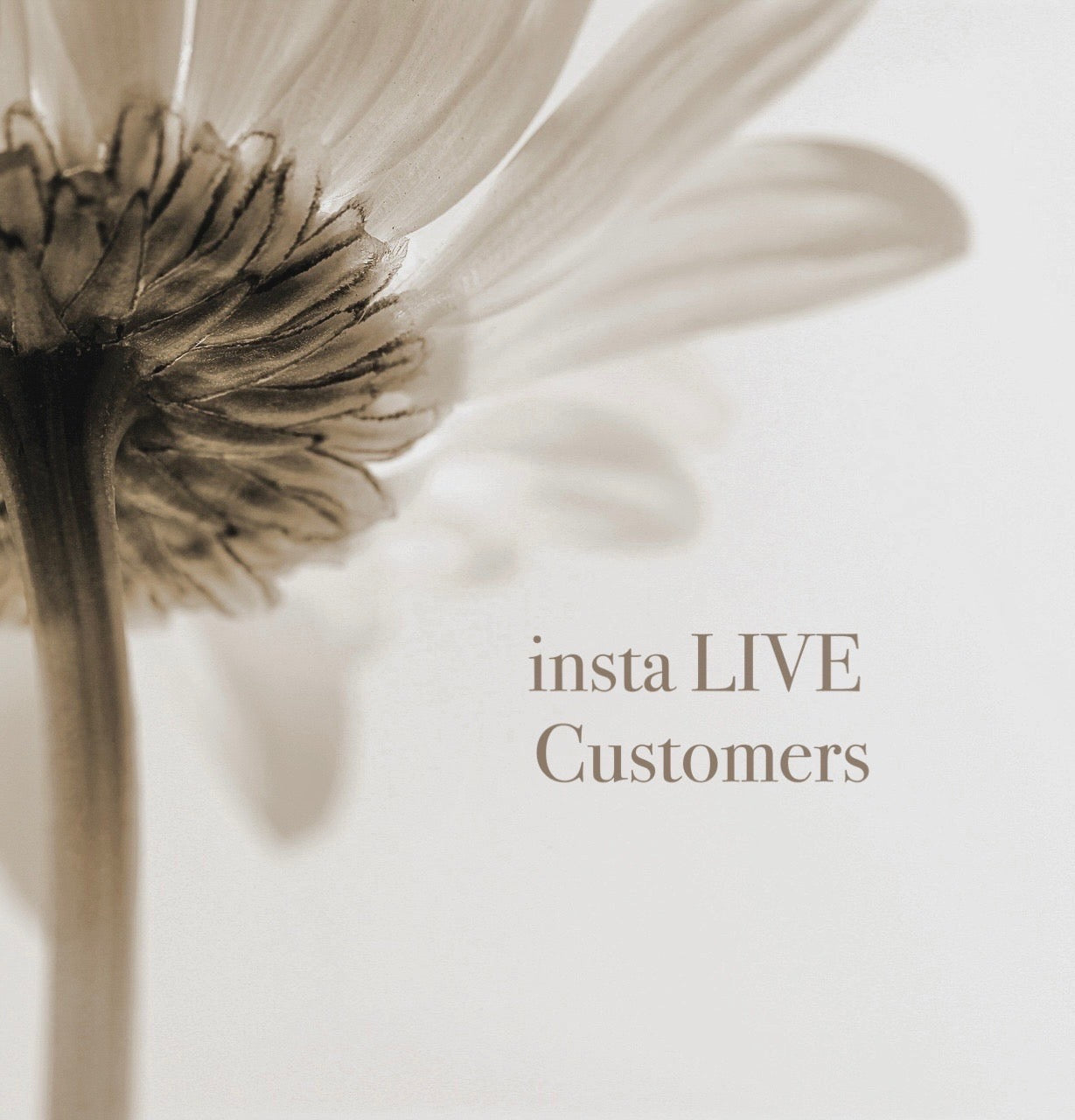 insta LIVE Customers